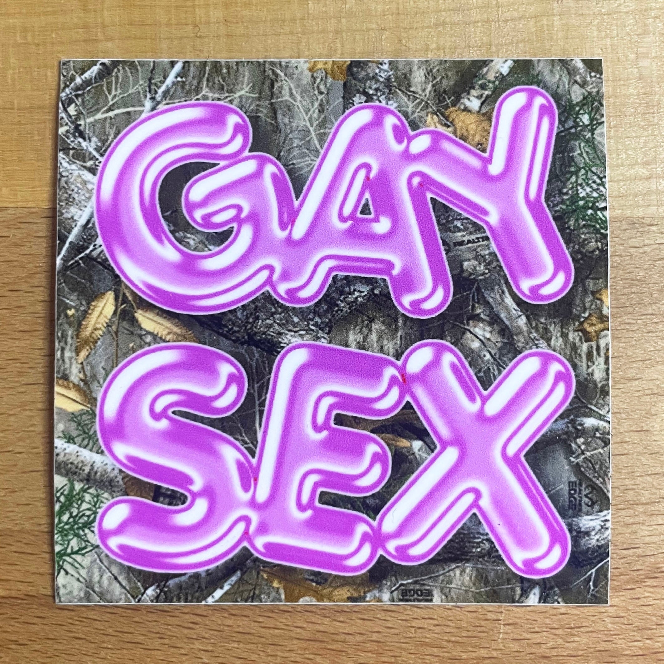 GAY SEX